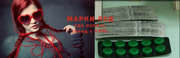 хмурый Осинники