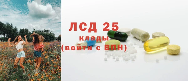 хмурый Осинники