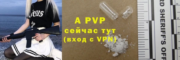 хмурый Осинники