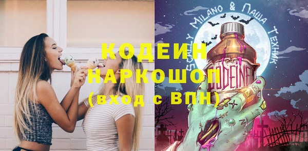 хмурый Осинники