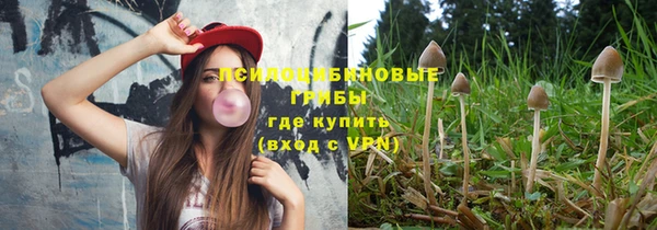 хмурый Осинники