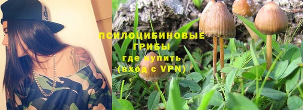 спиды Осташков