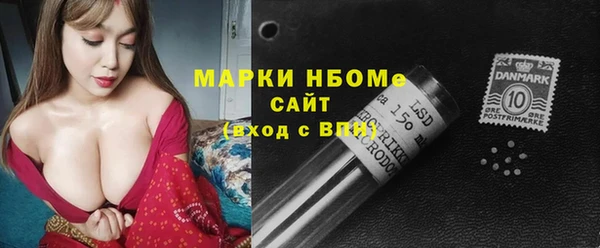 хмурый Осинники