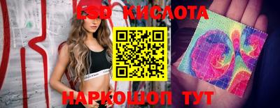 ПСИЛОЦИБИНОВЫЕ ГРИБЫ Гусиноозёрск