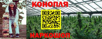 ПСИЛОЦИБИНОВЫЕ ГРИБЫ Гусиноозёрск