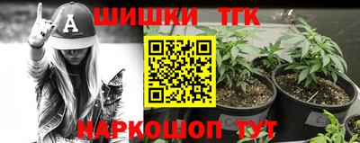 стаф Гусев