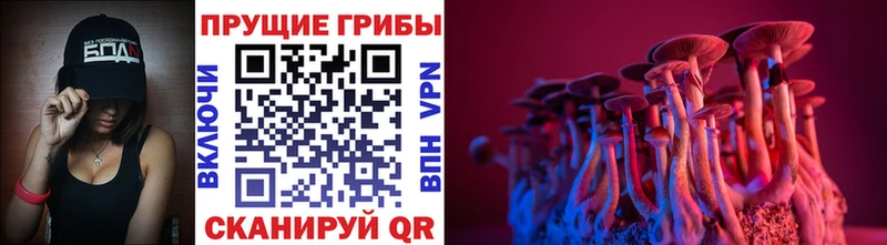 ссылка на мегу   Азов  Галлюциногенные грибы мицелий 